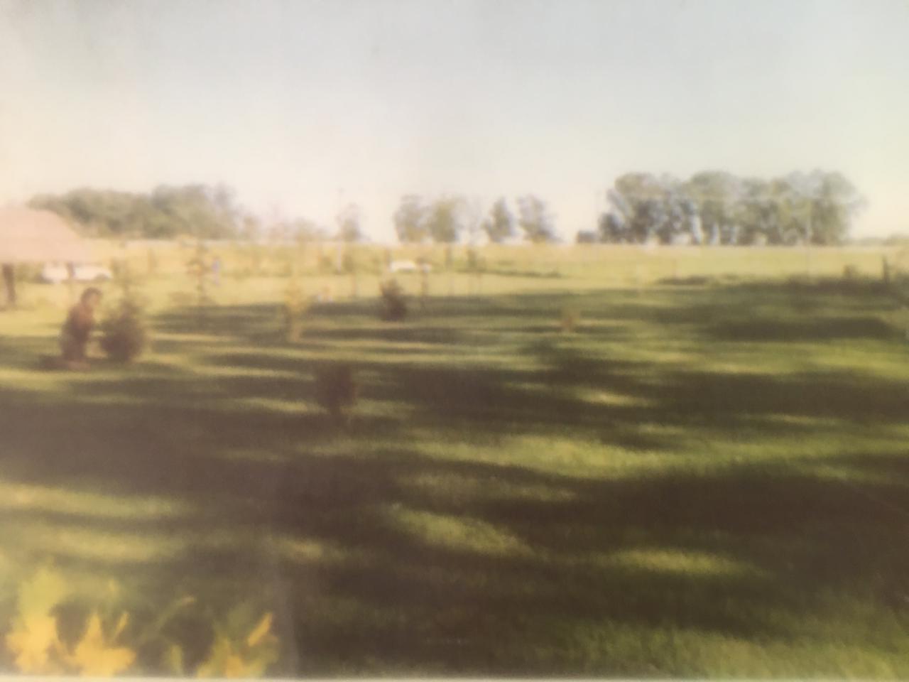 WhatsApp Image 2025-01-06 at 09.53.229.jpeg